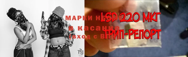 ПСИЛОЦИБИНОВЫЕ ГРИБЫ Баксан