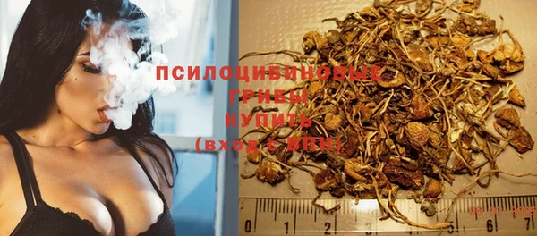 гашиш Арсеньев