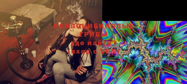 ПСИЛОЦИБИНОВЫЕ ГРИБЫ Баксан